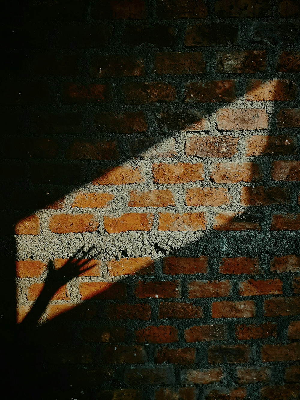 Editorial Image