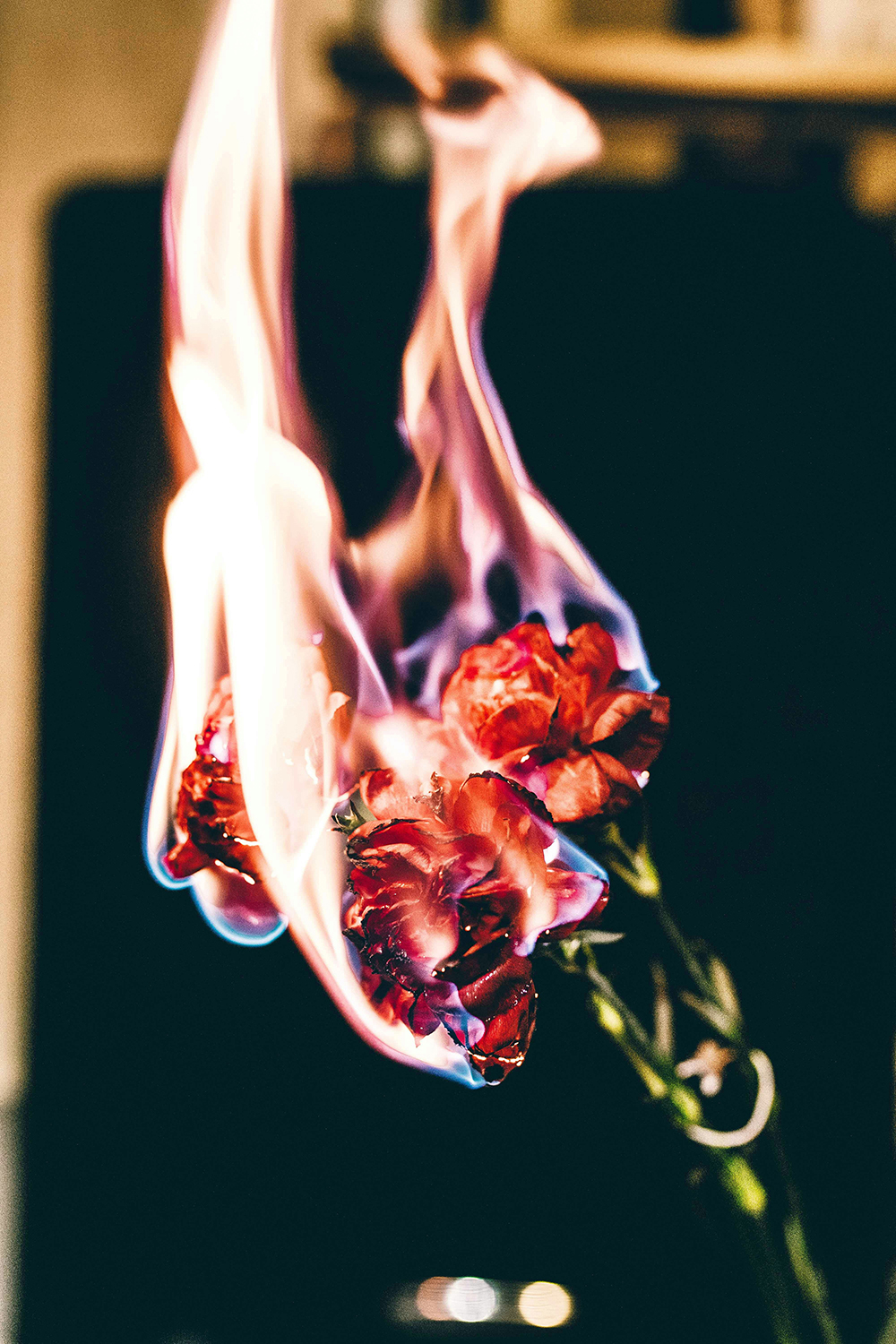 Editorial Image