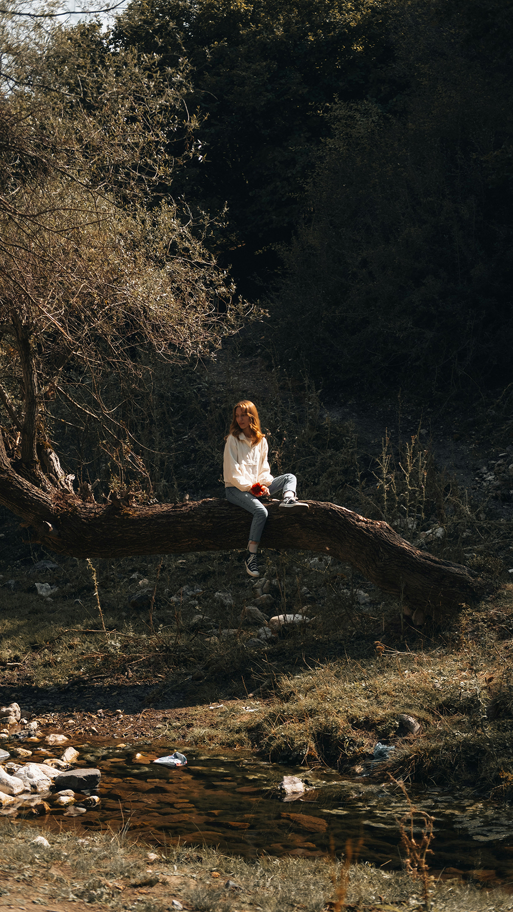 magazine image