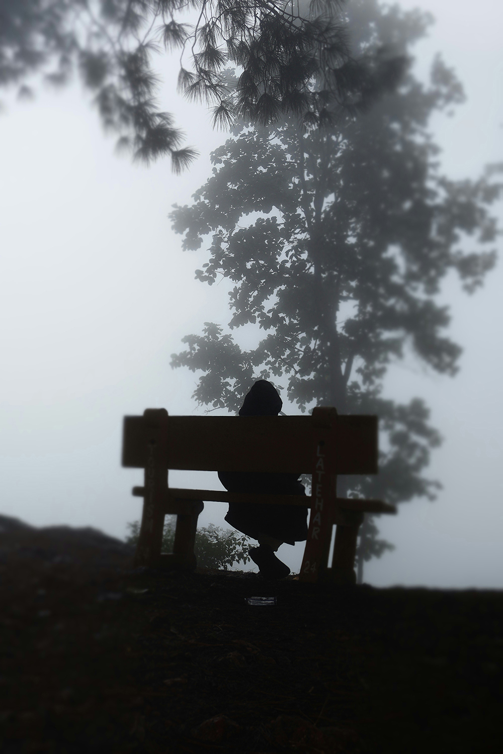 Editorial Image