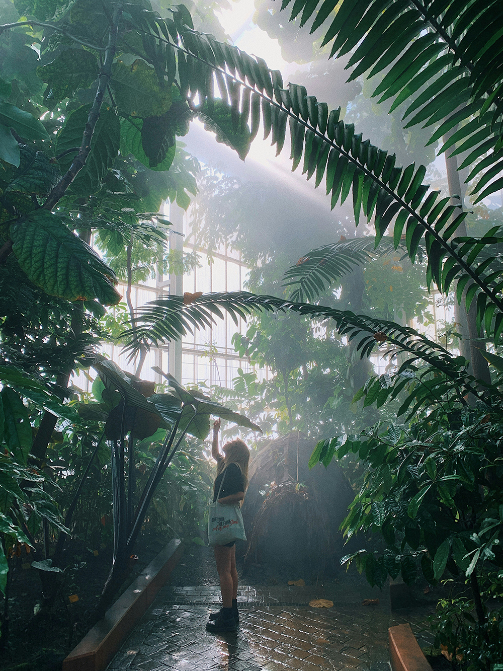 Editorial Image